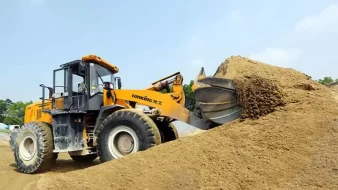 Cát Vàng Hạt
